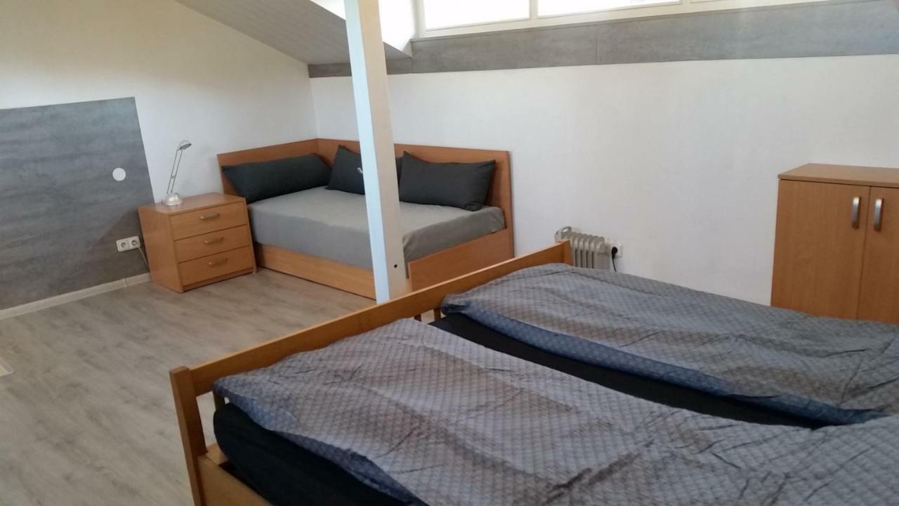 שוינה Domek Pod Brzozami מראה חיצוני תמונה